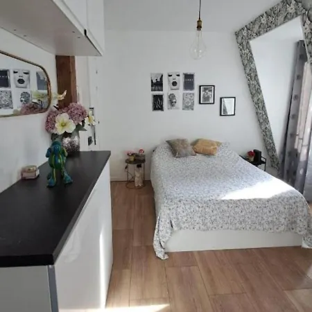 Vue Imprenable Sur La Tour Eiffel *