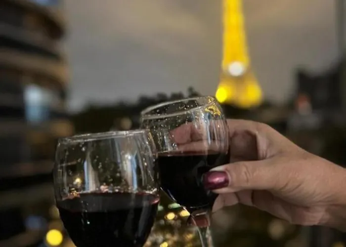 Vue Imprenable Sur La Tour Eiffel Appartement Parijs