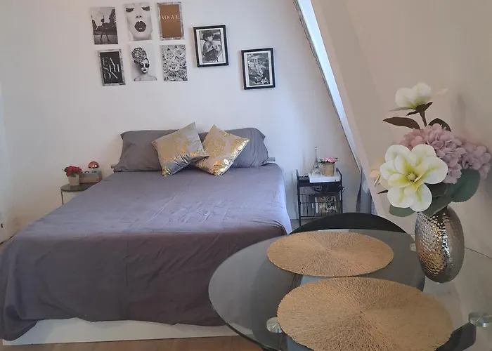 Vue Imprenable Sur La Tour Eiffel Appartement Parijs